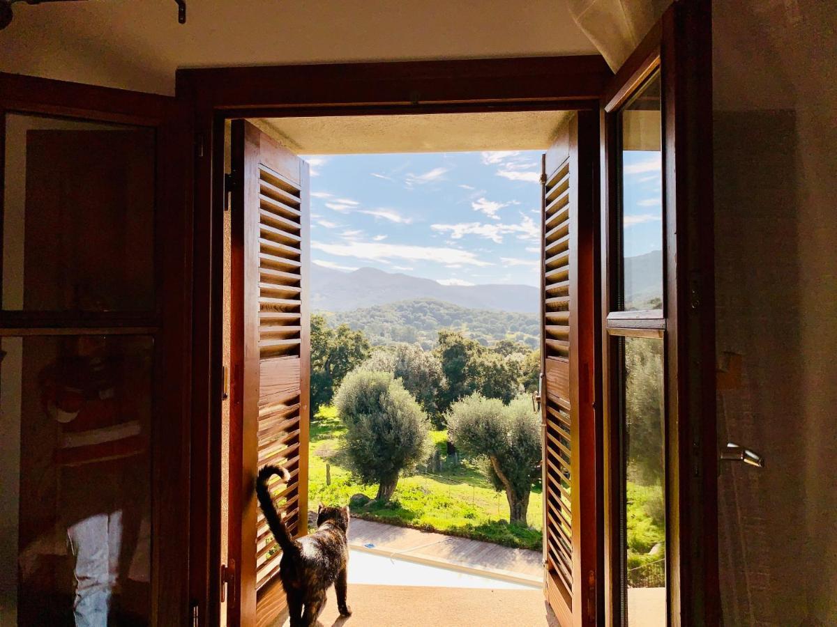 Вилла Domaine De Tappa - Casa Filicina Sollacaro Экстерьер фото
