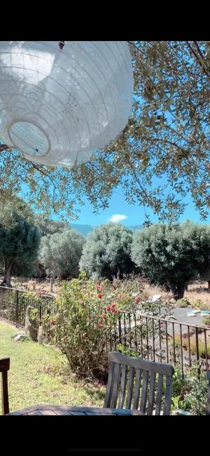 Вилла Domaine De Tappa - Casa Filicina Sollacaro Экстерьер фото