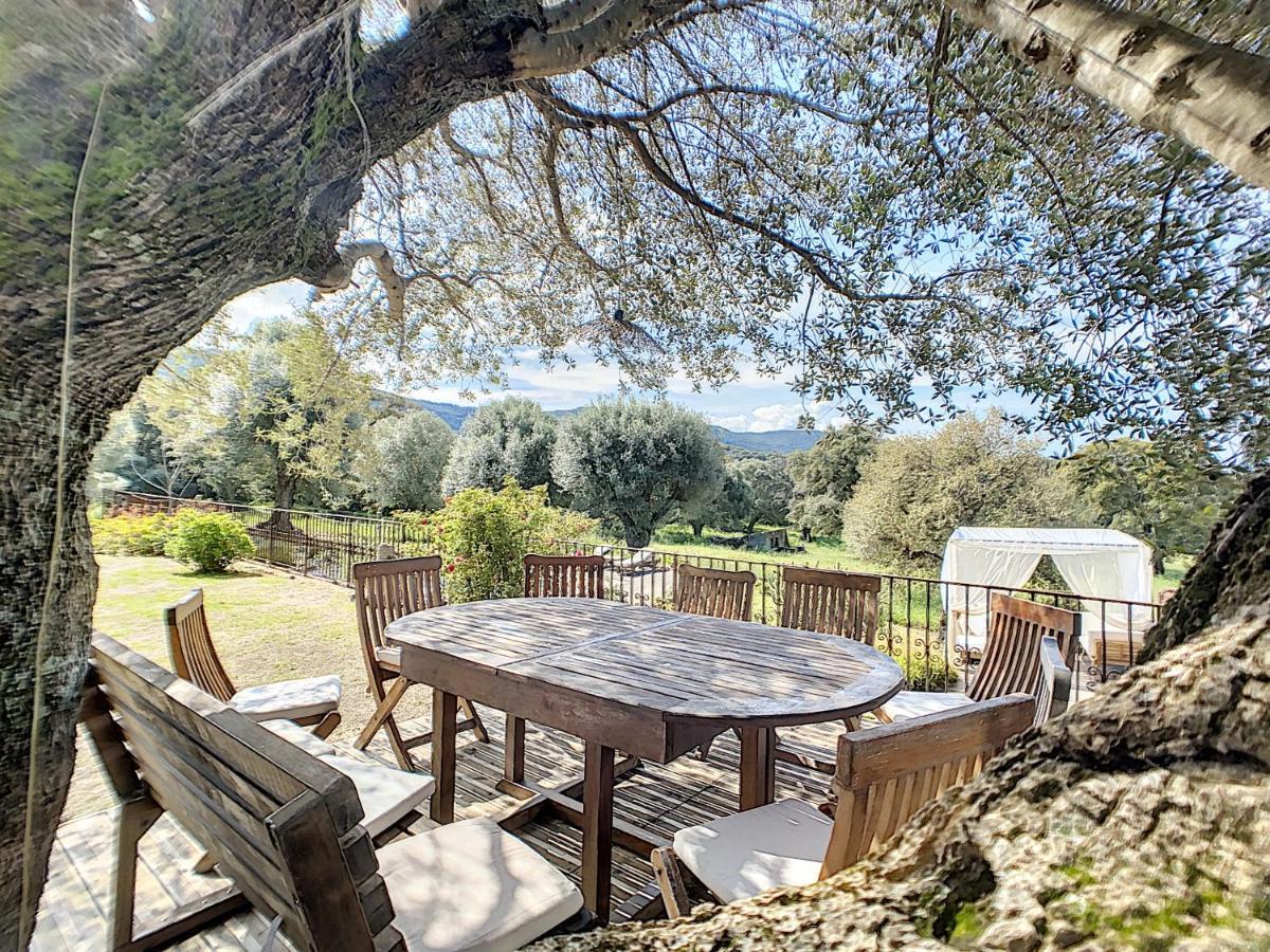 Вилла Domaine De Tappa - Casa Filicina Sollacaro Экстерьер фото