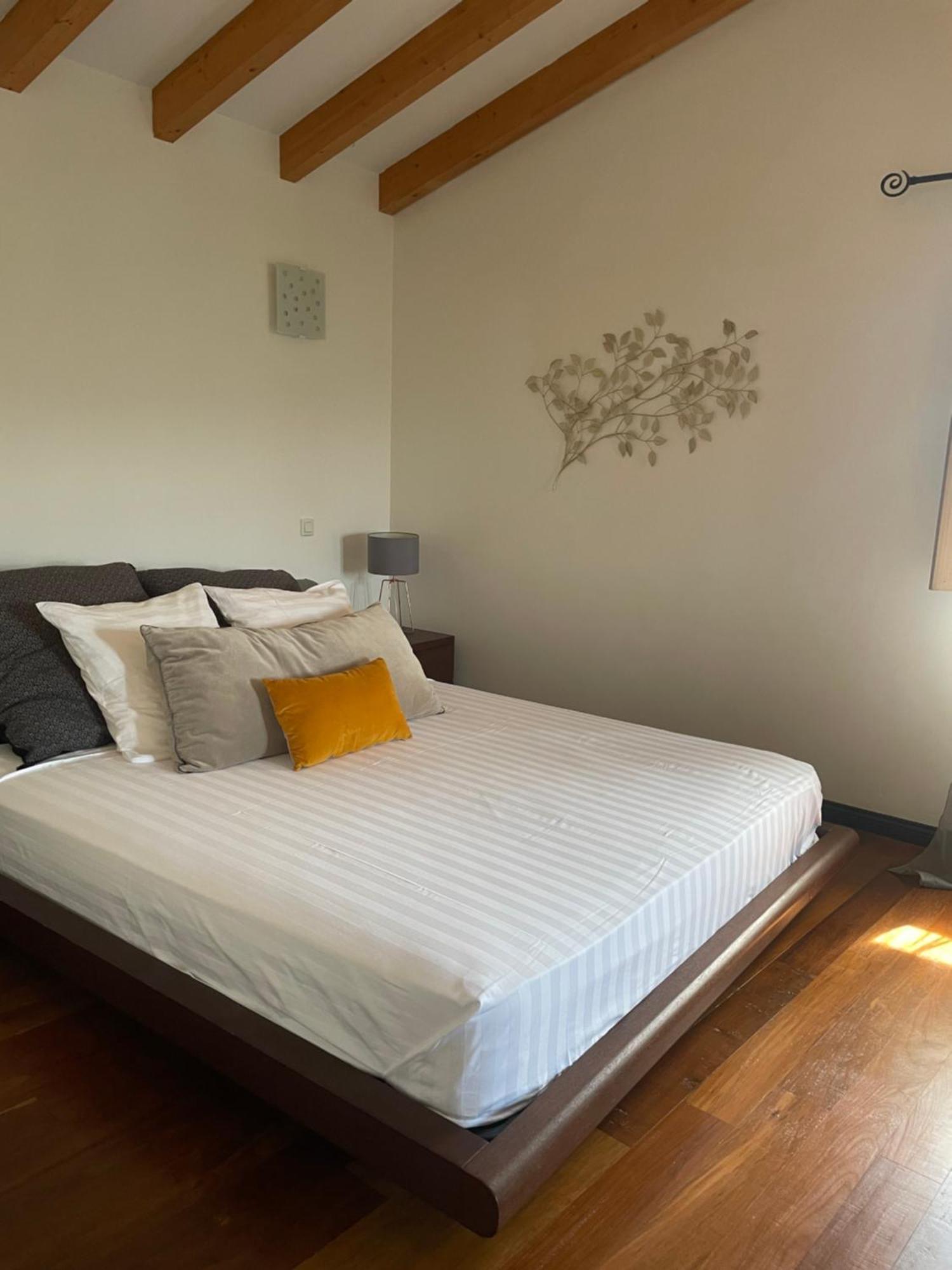 Вилла Domaine De Tappa - Casa Filicina Sollacaro Экстерьер фото