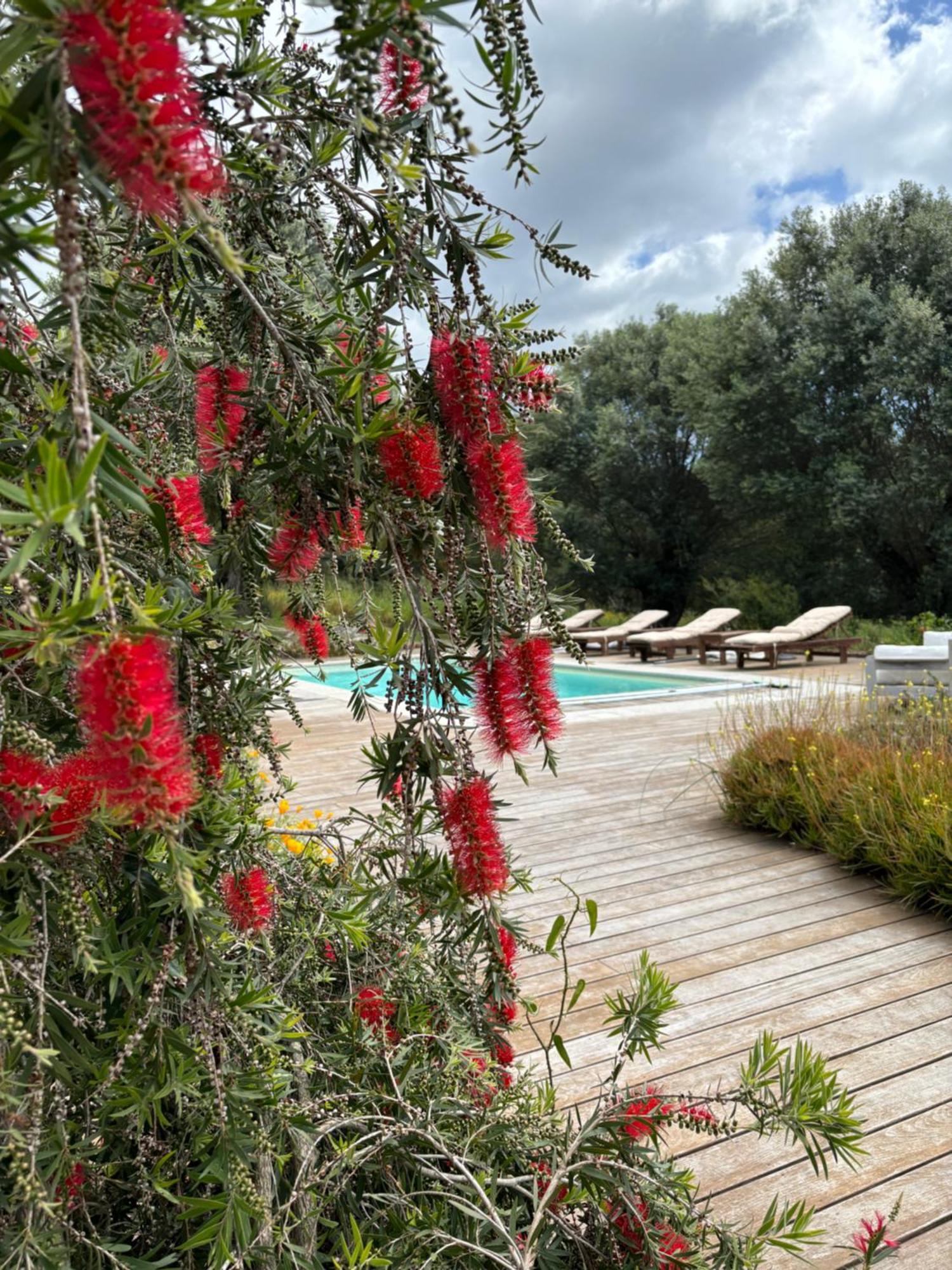 Вилла Domaine De Tappa - Casa Filicina Sollacaro Экстерьер фото