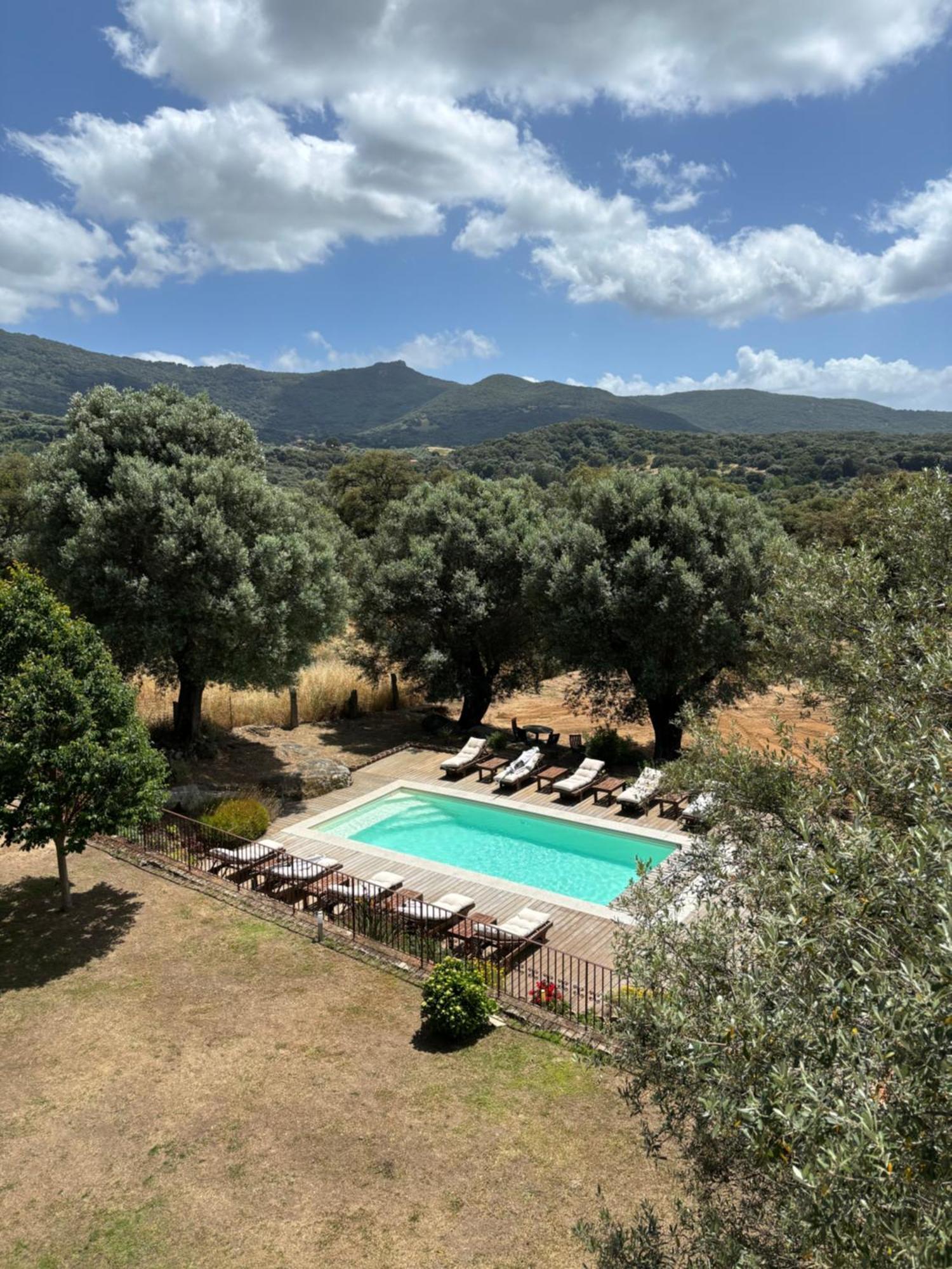Вилла Domaine De Tappa - Casa Filicina Sollacaro Экстерьер фото