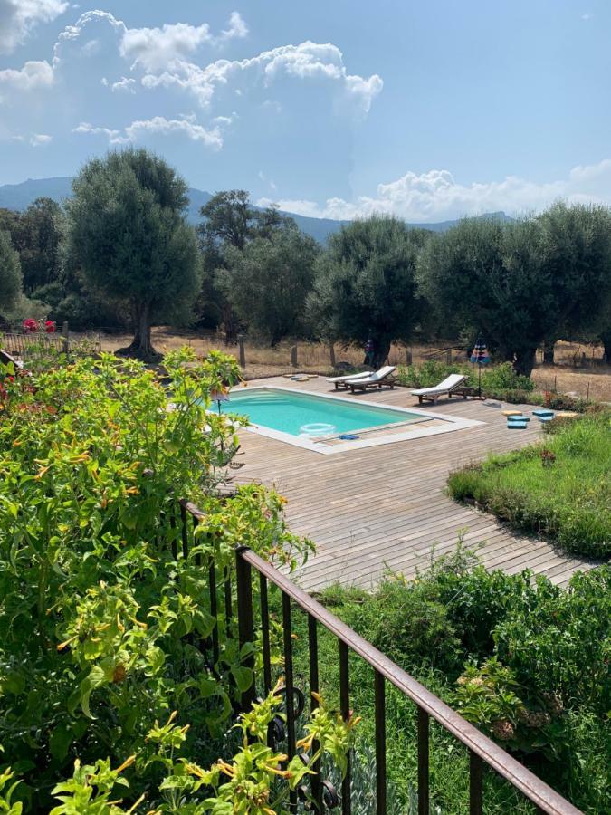 Вилла Domaine De Tappa - Casa Filicina Sollacaro Экстерьер фото