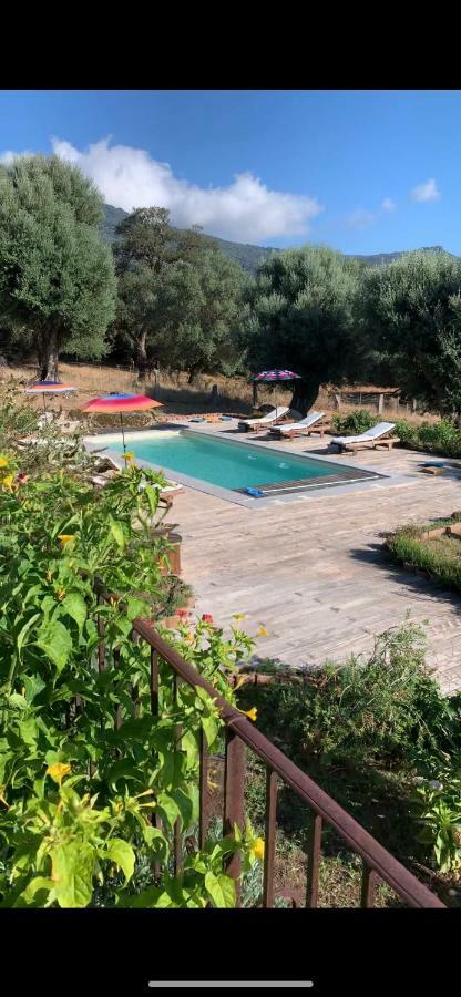 Вилла Domaine De Tappa - Casa Filicina Sollacaro Экстерьер фото