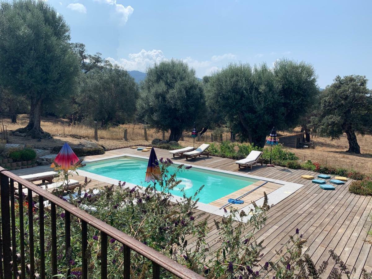 Вилла Domaine De Tappa - Casa Filicina Sollacaro Экстерьер фото